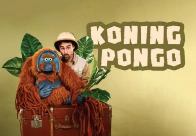 Koning Pongo © Rein De Vos