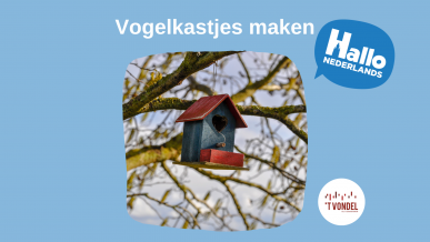 Vogelkastjes maken © Gelijke Kansen stad Halle